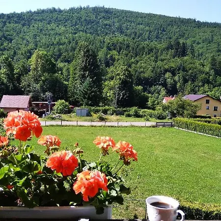 Storczyk Pansiyon *