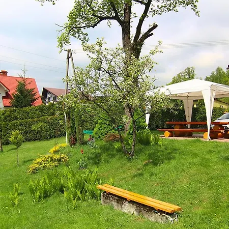 Storczyk Pansiyon