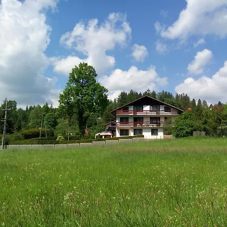 Storczyk Pansiyon Brenna