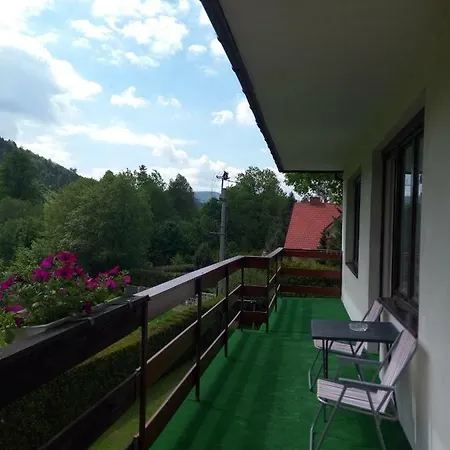 Storczyk Brenna